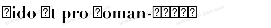 Dido Lt pro Roman字体转换
